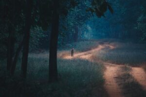 Tadoba Monsoon Adventure