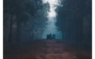 Top 5 Reasons Why Tadoba Jungle Is India’s Best Kept Wildlife Secret