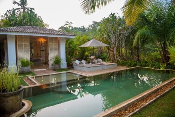 Curated jungle lodge near Tadoba core zone by Incredible Tadoba