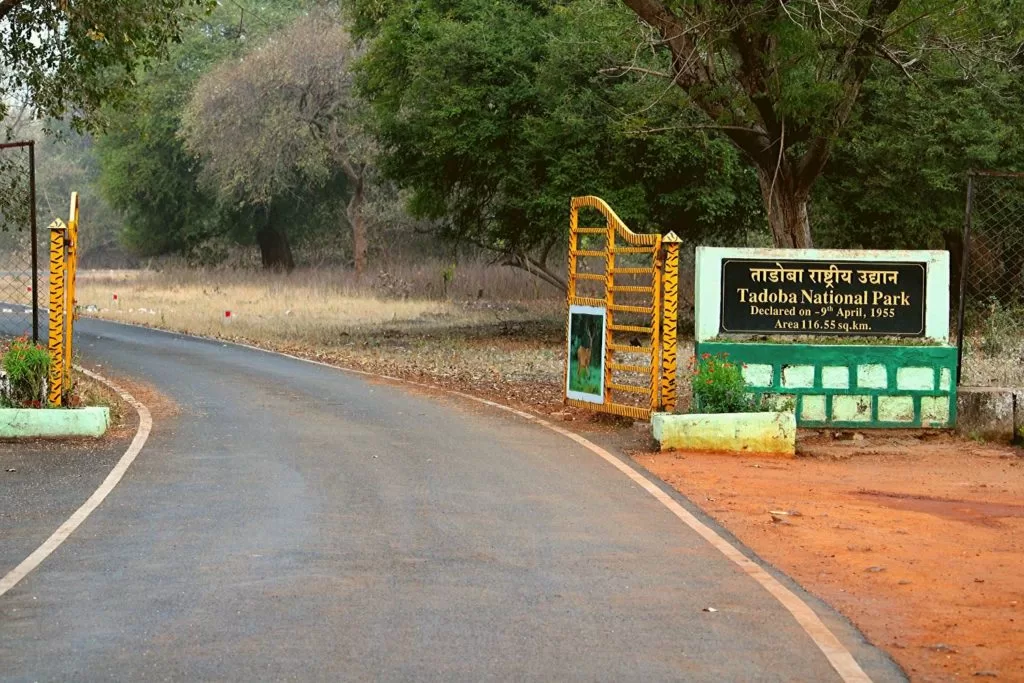 How to Reach Tadoba: road, rail and air travel guide