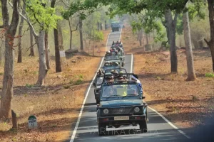 Tadoba Safari Rules and Regulations