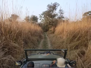 How To Reach Tadoba