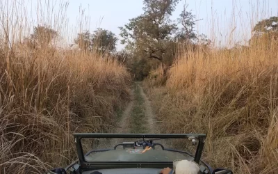 Tadoba Safari Rules and Regulations