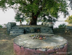 The temple of God TARU still exists beside the picturesque Tadoba Lake under a huge tree.